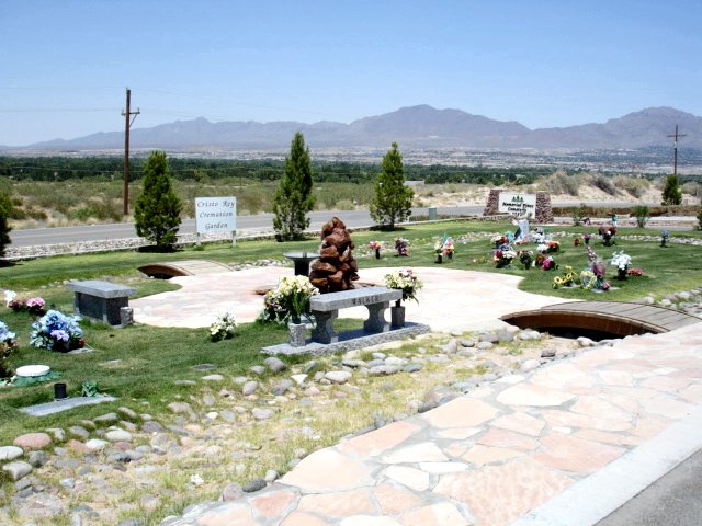 Picture
